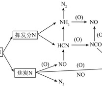 燃烧过程中燃料型NOx生成路径示意