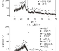 大柳塔矿和活鸡兔矿煤泥水＜0.5 mm矿物组成