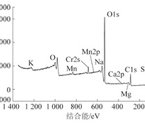 催化剂的XPS全扫描图谱