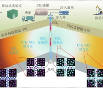 构造裂隙发育煤储层CO2驱替运移剖面