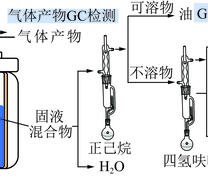 褐煤加氢反应装置及产物分析流程