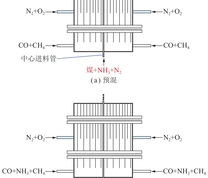 煤/NH3注入方式示意