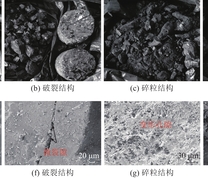 不同煤体结构宏观和微观煤岩