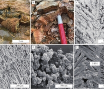 典型热泉钙华形态照片
A为新生成钙华，曲卓木；B为层状钙华，曲卓木；C为方解石树；D为文石；E为无定形方解石；F为方解石和针状二氧化硅；C—F据文献[18]