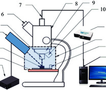 煤岩显微组分荧光强度测定装置示意图